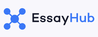 write my book report by essayhub service